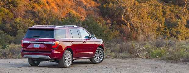 a red ford expedition parked on a dirt parkway with orange and green trees in the background 